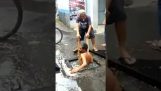 Ένας ατρόμητος υδραυλικός ξεβουλώνει ένα φρεάτιο (Ινδονησία)