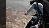 Pescatore colpisce coccodrillo che cerca di rubare il pesce