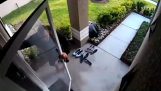 Жена спашава свог суседа од утапања