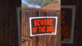 atenție! Câine!