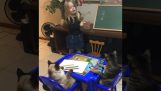 Een klein meisje leert katten schilderen