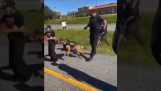Police dog bites a protester