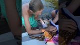 Rescue a small deer from drowning
