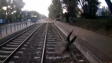 A man falls on the tram lines