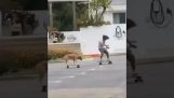 एक कुत्ते के साथ स्केटबोर्डिंग