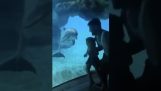 Father and daughter have fun with a dolphin