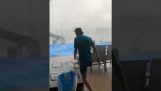 En trampolin i stormen