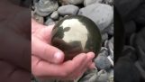Fossil ammonit i sten