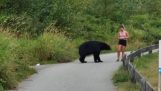 En bjørn skubber en kvinde, der løber