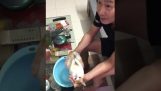 Demonstrasjon for et babybad, ved hjelp av en katt