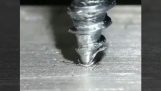 Los metales se cierran con una lente macro