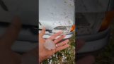 Stora hagel förstör bilen (Ryssland)