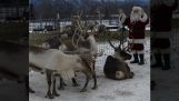 Noel Baba büyük günden önce ren geyiklerine talimatlar veriyor