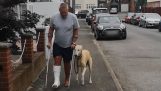 A dog imitates its limping owner