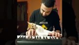 Playing piano along with a cuddly cat