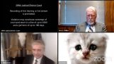Právník s kočičím filtrem na webové schůzce