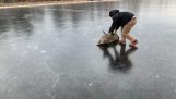 Aider un cerf coincé dans la glace