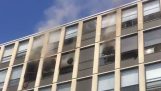 Cat springt aus dem 4. Stock eines brennenden Gebäudes