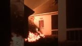 Lava brucia le case (Congo)