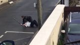 Uzbrojona kobieta zostaje rozbrojona przez policję (Francja)