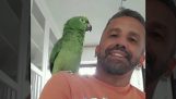 En papegoja imiterar andra djur