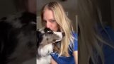 What happens if you kiss your dog?;