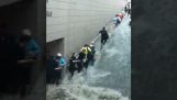 A torrent on the subway stairs