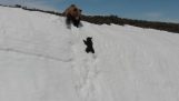 A bear cub follows his mom on a snowy mountain