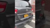Polite citizen corrects driver's license plates