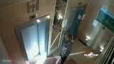 A intrat în lift, dar și-a uitat câinele
