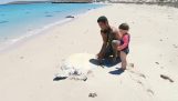Salvataggio di un enorme tartaruga marina sulla spiaggia (Australia)