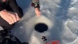 Ψάρεμα στον πάγο με μια έκπληξη