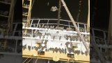 Les oiseaux migrateurs font une pause sur un bateau