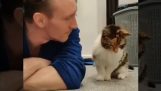 Μια γάτα 22 ετών και ο ιδιοκτήτης της