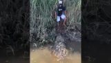 Trapped in front of a crocodile
