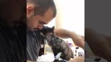 En bortkommen kattunge viser sin takknemlighet
