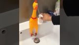 Η βρύση με το πλαστικό κοτόπουλο