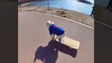 Pes se skateboardem