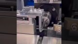Metal straightening machine