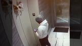 Hund hängt an einem Aufzug