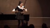 Η παρουσίαση ενός παραδοσικού μουσικού οργάνου από την Κίνα