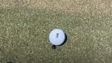 Gândacul ajutor la un joc de golf