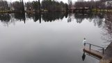 Βουτιά σε μια λίμνη στη Φινλανδία