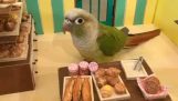 面包店鹦鹉