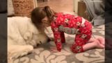 Ένα μικρό κορίτσι και ο σκύλος της