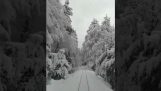Περιοδεία με ένα τρένο στην χιονισμένη Κορσική