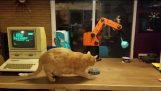 Robot Feeds Cat