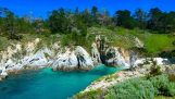 Point Lobos staten naturreservat
