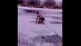 Mies säästää koiran keskellä Frozen River