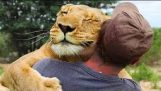 动物的人拥抱 – 动物拥抱人类编译